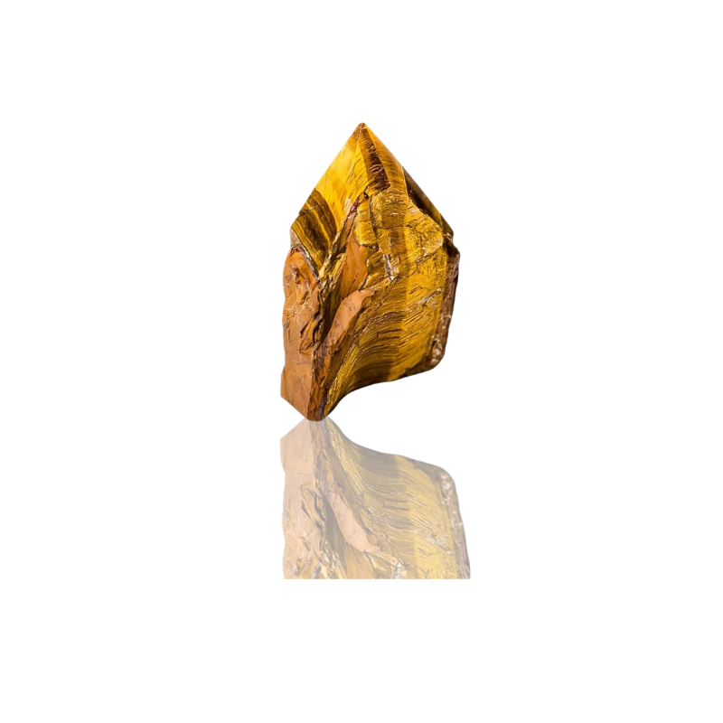 Career / Focus——Tiger Eyes